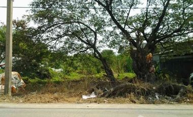Land for sale in Na Di, Samut Sakhon