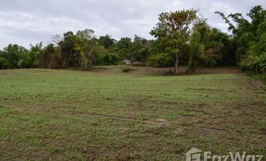 Land for sale in Tha Khao Plueak, Chiang Rai