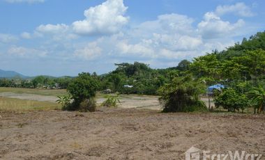 Land for sale in Tha Khao Plueak, Chiang Rai