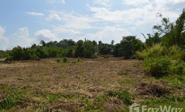 Land for sale in Tha Khao Plueak, Chiang Rai