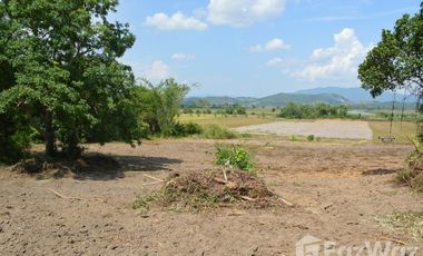 Land for sale in Tha Khao Plueak, Chiang Rai