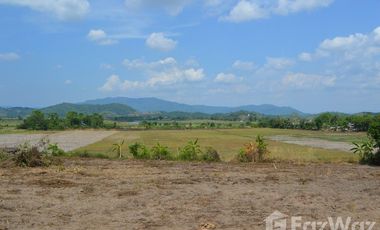 Land for sale in Tha Khao Plueak, Chiang Rai