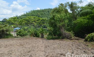 Land for sale in Tha Khao Plueak, Chiang Rai