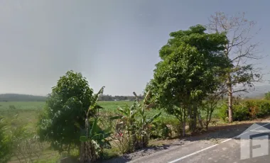 Land for sale in Pong Phrae, Chiang Rai