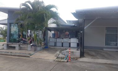 Land for sale in Wiang Yong, Lamphun