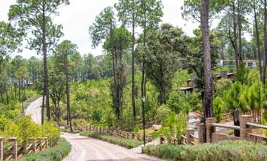 OPORTUNIDAD Venta de Terreno en Tapalpa