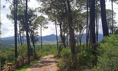 OPORTUNIDAD Venta de Terreno en Tapalpa