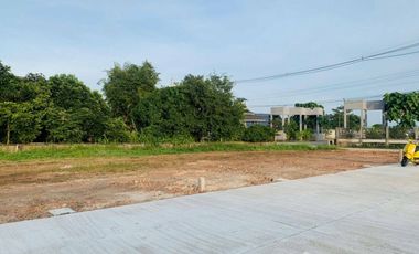 Land for sale in Ban Du, Chiang Rai