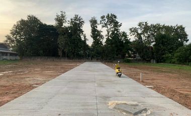 Land for sale in Ban Du, Chiang Rai