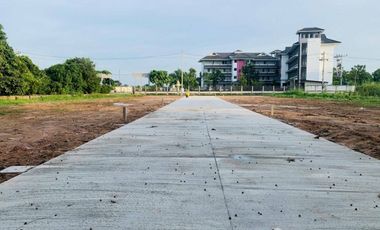 Land for sale in Ban Du, Chiang Rai
