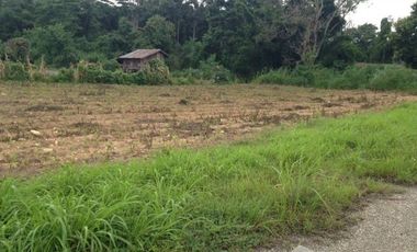 Land for sale in Mae Chedi Mai, Chiang Rai