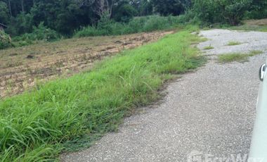 Land for sale in Mae Chedi Mai, Chiang Rai