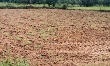 Land for sale in Mek Dam, Maha Sarakham