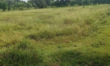 Land for sale in Mek Dam, Maha Sarakham