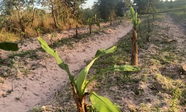 Land for sale in Mek Dam, Maha Sarakham