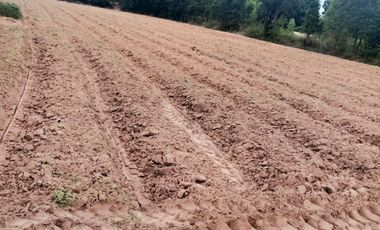 Land for sale in Mek Dam, Maha Sarakham