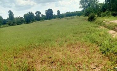 Land for sale in Mek Dam, Maha Sarakham