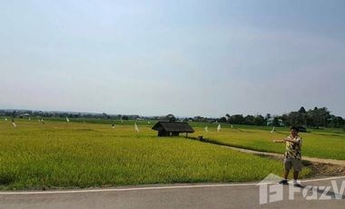 Land for sale in Mae Chedi, Chiang Rai
