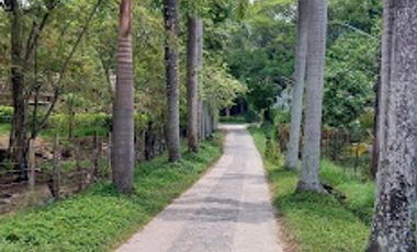 VENTA de LOTES en SOPETRAN