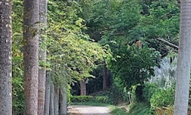 VENTA de LOTES en SOPETRAN