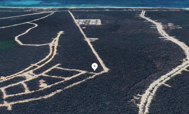 Venta Lote Residencial de Lujo en la Jungla de NIDO 101 Tulum