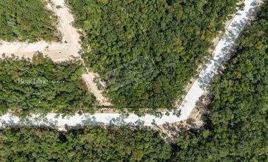 Venta Lote Residencial de Lujo en la Jungla de NIDO 101 Tulum