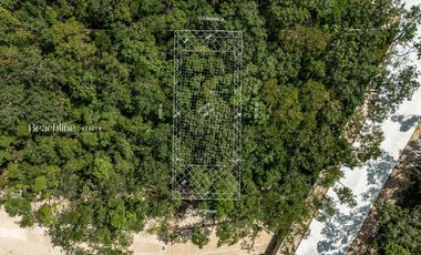 Venta Lote Residencial de Lujo en la Jungla de NIDO 101 Tulum