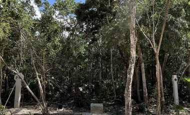 Venta Lote Residencial de Lujo en la Jungla de NIDO 101 Tulum
