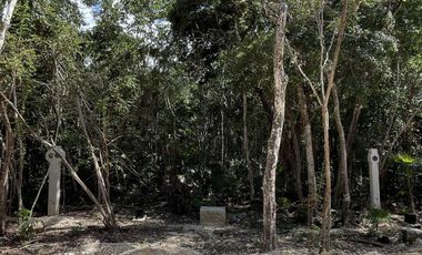 Venta Lote Residencial de Lujo en la Jungla de NIDO 101 Tulum