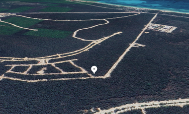Venta Lote Residencial de Lujo en la Jungla de NIDO 101 Tulum