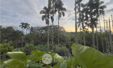 Casa en conjunto en arriendo amoblada, El Rosario, Manizales