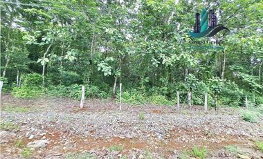 VENDO FINCA DE SIETE HECTAREAS LAJAS