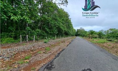 VENDO FINCA DE SIETE HECTAREAS LAJAS
