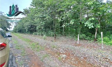 VENDO FINCA DE SIETE HECTAREAS LAJAS
