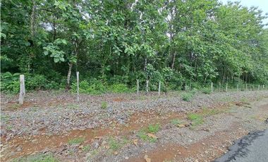 VENDO FINCA DE SIETE HECTAREAS LAJAS