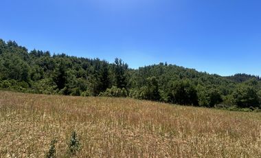 Vende 22,800 hectáreas, sector Carrizal, Nacimiento