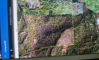 Vende 22,800 hectáreas, sector Carrizal, Nacimiento