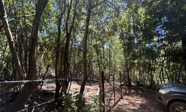 Vende 22,800 hectáreas, sector Carrizal, Nacimiento