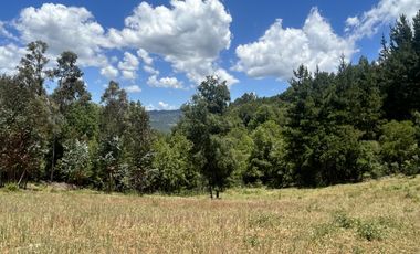 Vende 22,800 hectáreas, sector Carrizal, Nacimiento