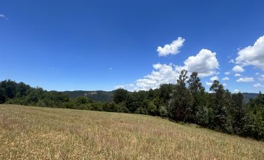 Vende 22,800 hectáreas, sector Carrizal, Nacimiento