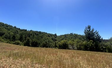 Vende 22,800 hectáreas, sector Carrizal, Nacimiento