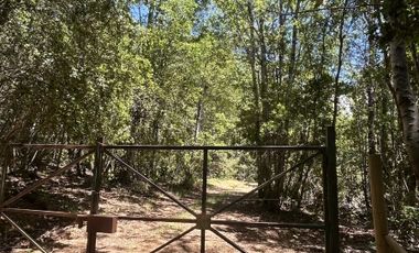 Vende 22,800 hectáreas, sector Carrizal, Nacimiento