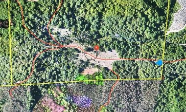 Vende 22,800 hectáreas, sector Carrizal, Nacimiento