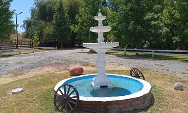 Vende Parcela 5000m2 con 2 casas