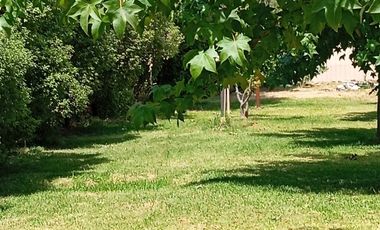 Vende Parcela 5000m2 con 2 casas