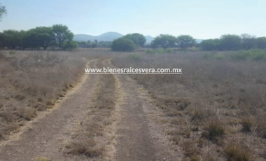 TERRENO EN VENTA EN TEQUISQUIAPAN moy