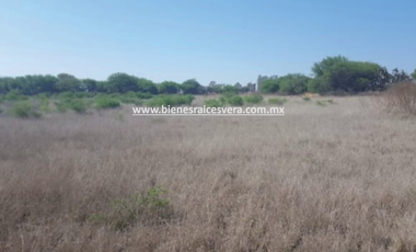 TERRENO EN VENTA EN TEQUISQUIAPAN moy