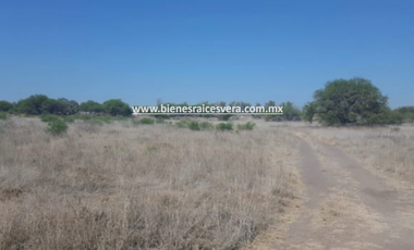 TERRENO EN VENTA EN TEQUISQUIAPAN moy