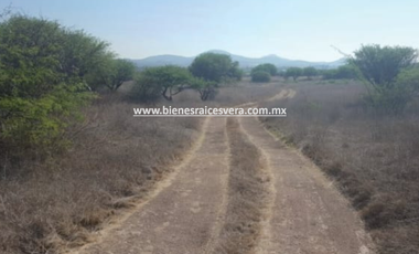 TERRENO EN VENTA EN TEQUISQUIAPAN moy