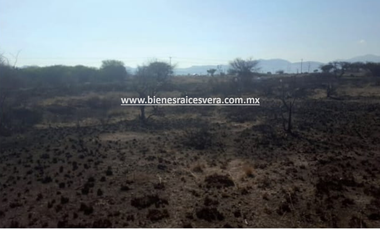 TERRENO EN VENTA EN TEQUISQUIAPAN moy